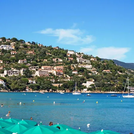 Les Floralies Ii-3 By Interhome * Le Lavandou